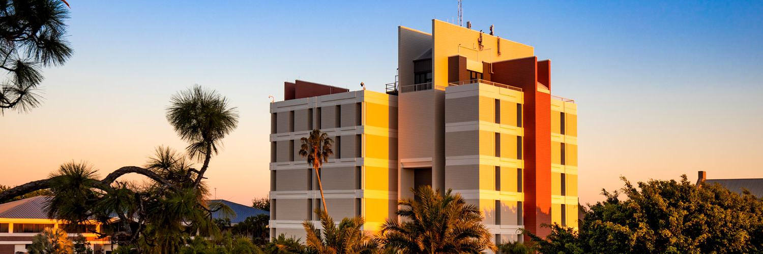 View of Engineering Building during Sunset